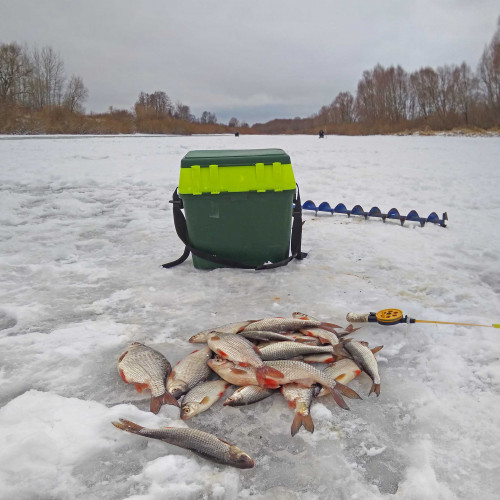 Ryb_03.01.2021-2.jpg