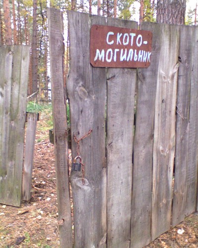 Rozhnov_Bor-3.jpg