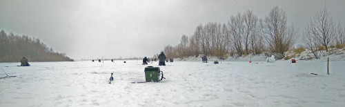 Ryb_05.01.2021-6.jpg