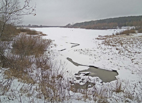 Ryb_05.01.2021-9.jpg