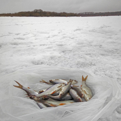 Ryb_05.01.2021-10.jpg