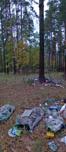 Rozhnov_Bor-4.jpg