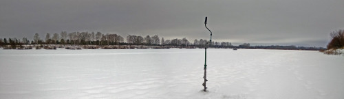 Ryb_09.01.2021-1.jpg
