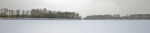 Ryb_10.01.2021-3.jpg