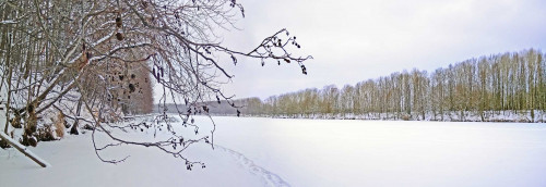 Ryb_10.01.2021-4.jpg