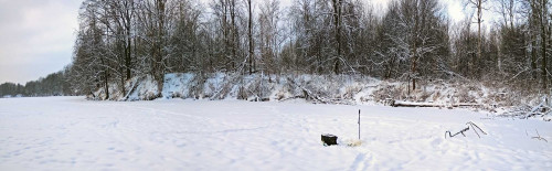 Ryb_10.01.2021-5.jpg