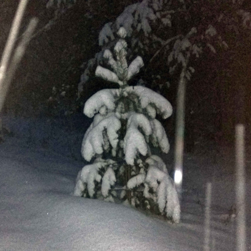 Ryb_14.01.2021-1.jpg