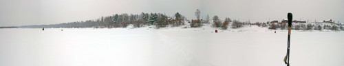Ryb_15.01.2021-2.jpg