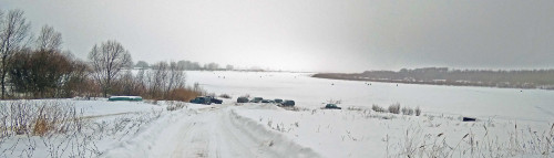 Ryb_23.01.2021-2.jpg