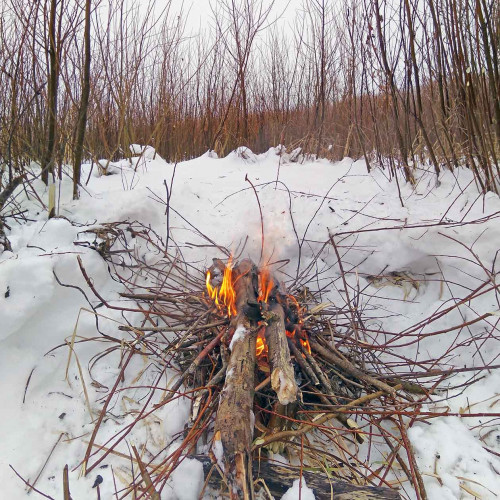 Ryb_23.01.2021-4.jpg
