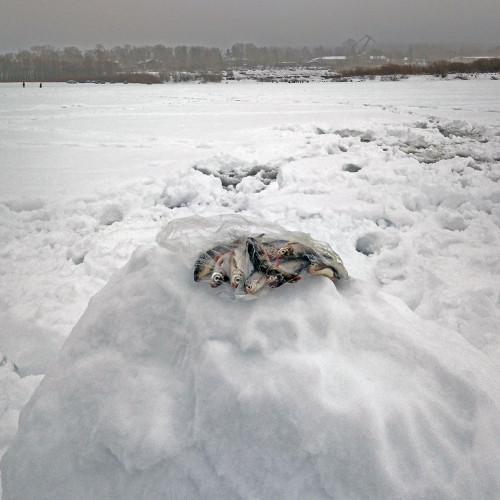 Ryb_23.01.2021-5.jpg