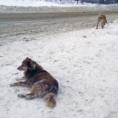 Ryb_23.01.2021-6.jpg