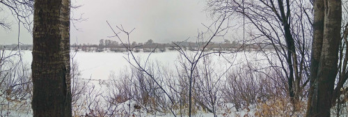 Ryb_24.01.2021-4.jpg