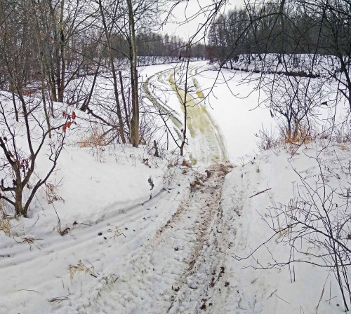 Ryb_26.01.2021-2.jpg
