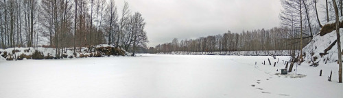 Ryb_26.01.2021-4.jpg