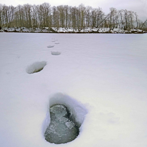 Ryb_26.01.2021-5.jpg