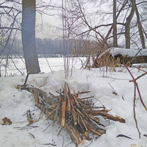 Ryb_26.01.2021-6.jpg