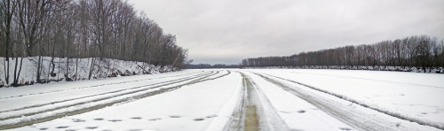 Ryb_26.01.2021-7.jpg