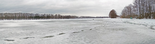 Ryb_26.01.2021-9.jpg