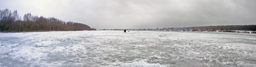 Ryb_28.01.2021-3.jpg
