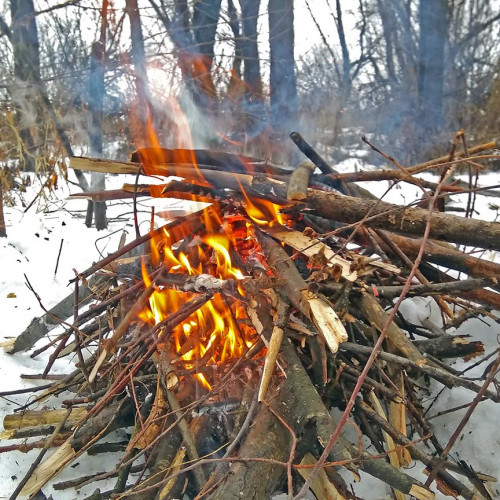 Ryb_28.01.2021-4.jpg