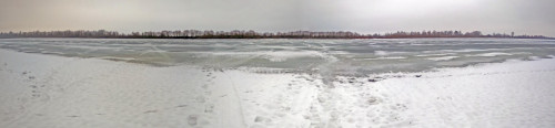 Ryb_28.01.2021-5.jpg