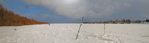 Ryb_30.01.2021-3.jpg