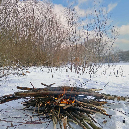Ryb_30.01.2021-4.jpg