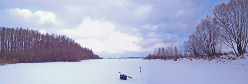 Ryb_30.01.2021-5.jpg