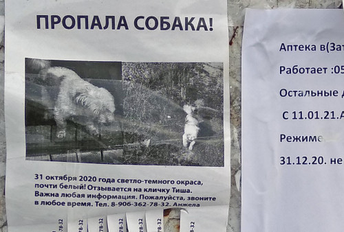 Ryb_30.01.2021-6.jpg