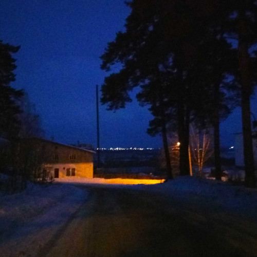 Ryb_01.02.2021-2.jpg