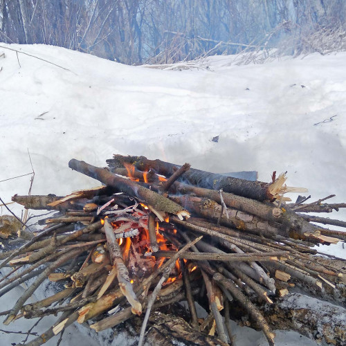 Ryb_01.02.2021-4.jpg