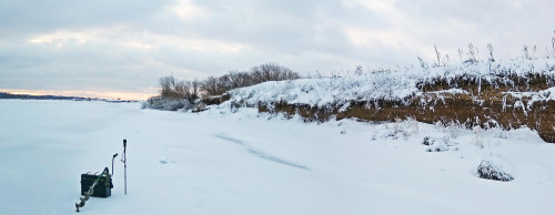 Ryb_01.02.2021-5.jpg