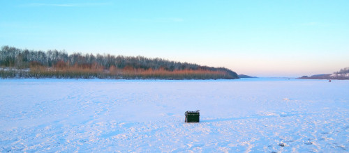 Ryb_02.02.2021-1.jpg
