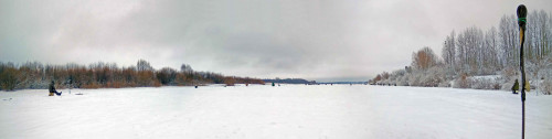 Ryb_04.02.2021-2.jpg