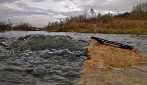 Shmrsk_Istochnik-19102011-2.jpg