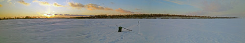 Ryb_05.02.2021-1.jpg