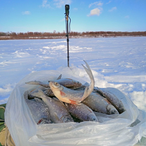Ryb_07.02.2021-2.jpg