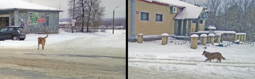 Ryb_09.02.2021-3.jpg