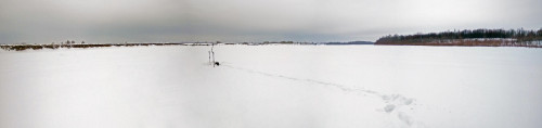 Ryb_13.02.2021-1.jpg