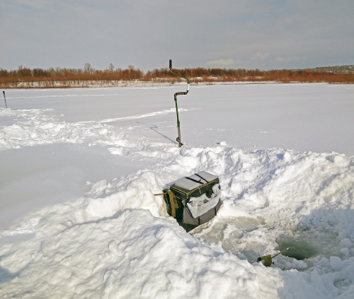 Ryb_13.02.2021-2.jpg