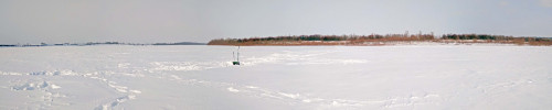 Ryb_17.02.2021-1.jpg