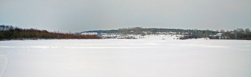 Ryb_17.02.2021-2.jpg