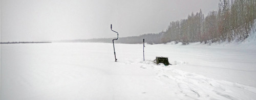 Ryb_25.02.2021-2.jpg
