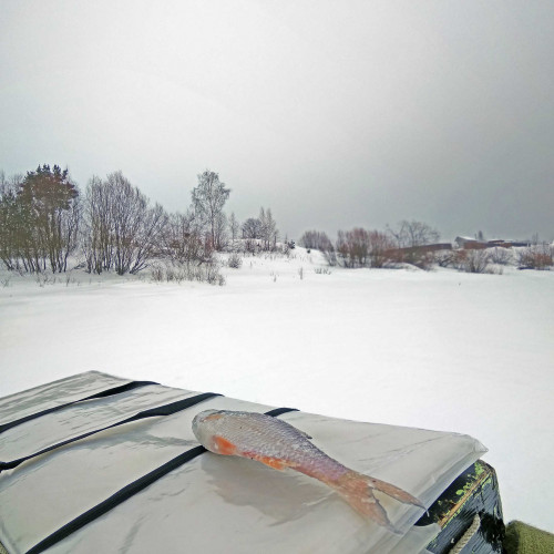 Ryb_25.02.2021-4.jpg