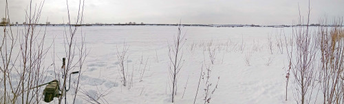 Ryb_27.02.2021-3.jpg