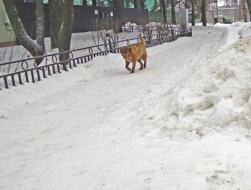 Ryb_27.02.2021-7.jpg