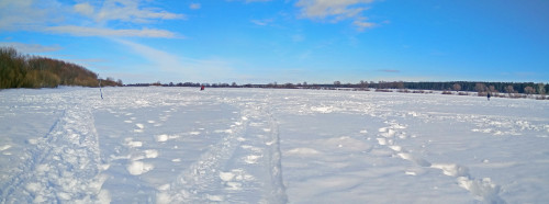Ryb_01.03.2021-1.jpg