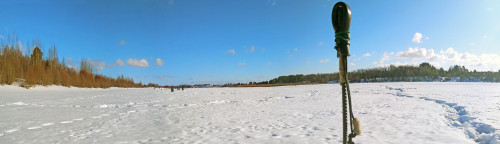 Ryb_03.03.2021-1.jpg