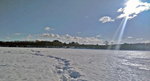 Ryb_03.03.2021-2.jpg